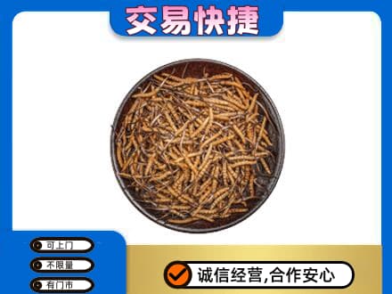 英德市高价回收散虫草