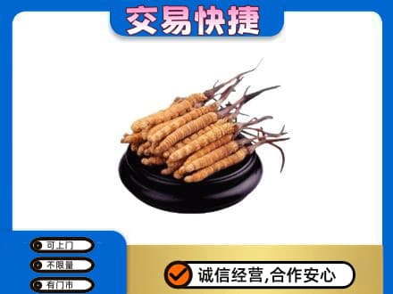 英德市礼品回收散虫草.jpg